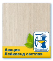 Акация лейкленд светлая