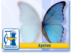 Арктик