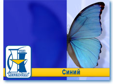 Синий