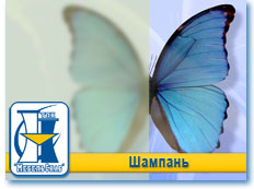 Шампань