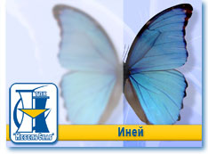 Иней
