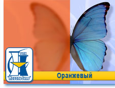 Оранжевый