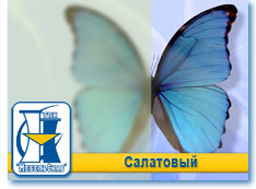 Салатовый