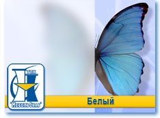 Белый