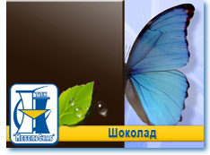 Шоколад