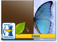Какао