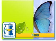 Лайм